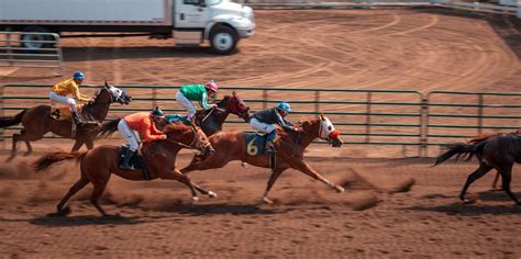 sprintvalley racing cards today